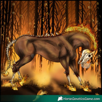 Horse Color:Gray Silver Sable Champagne 