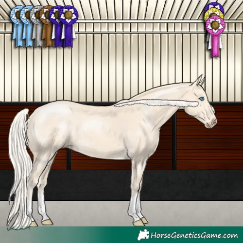Horse Color:Cremello 