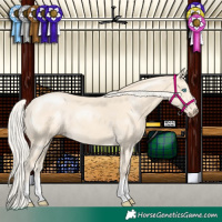 Horse Color:Cremello 