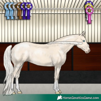 Horse Color:Cremello 