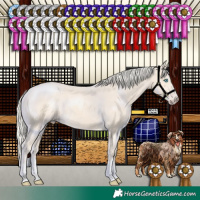 Horse Color:Cremello 