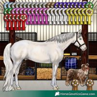 Horse Color:Cremello 