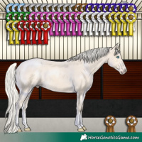 Horse Color:Cremello