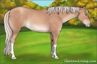 Horse Color:Silver Sable Champagne 