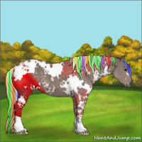 Horse Color:Painted White Spotted Silver Black