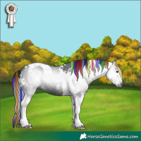 Horse Color:Gray Painted White Spotted Black Tobiano 