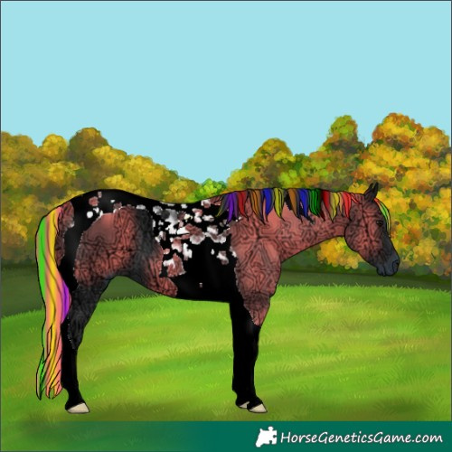 Horse Color:Painted Black Ice Tobiano 