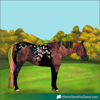 Horse Color:Painted Black Ice Tobiano 