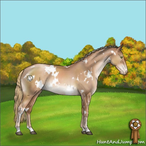 Horse Color:White Spotted Liver Chestnut Pearl Sabino Appaloosa Rabicano 