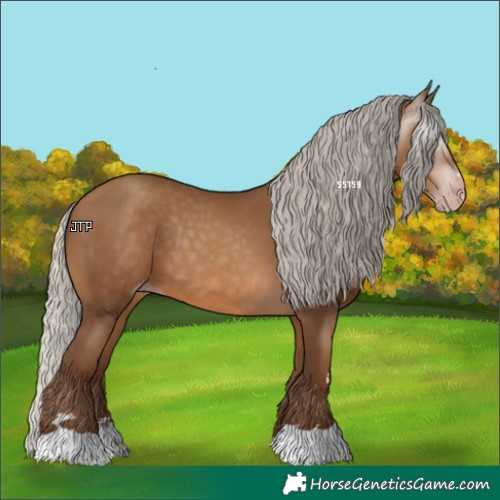 Horse Color:Gray Silver Sable Champagne 