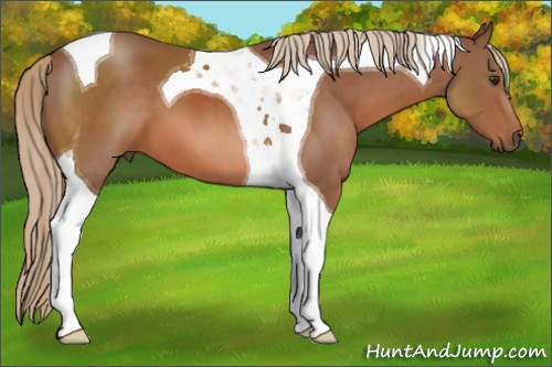 Horse Color:Chestnut Tobiano 