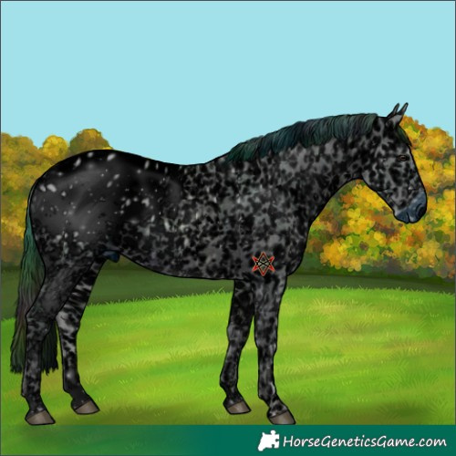 Horse Color:ERROR: UNKNOWN ANOMALY