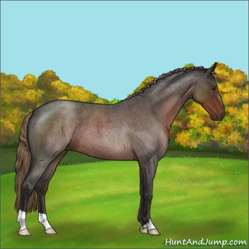 Horse Color:Liver Red Roan 