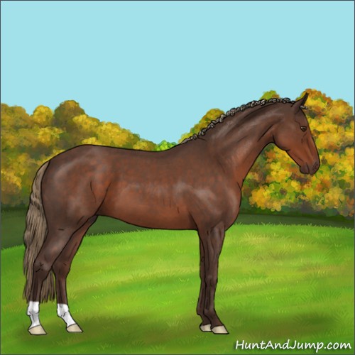 Horse Color:Liver Red Roan 