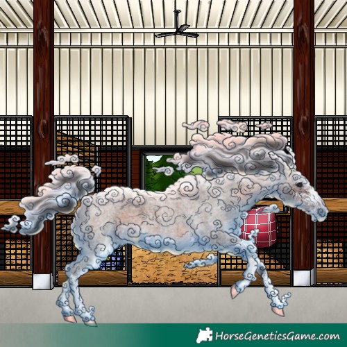 Horse Color:Brown Roan Sabino