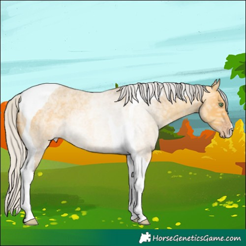 Horse Color:Silver Amber Cream Champagne Ice Roan Tobiano