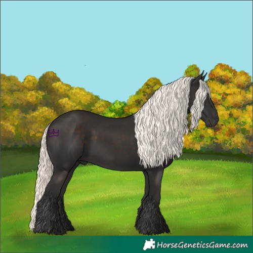 Horse Color:Liver Chestnut Mushroom 