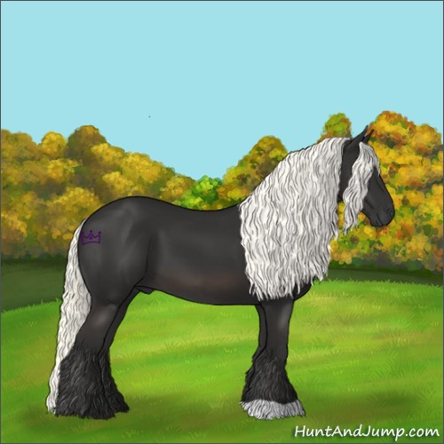 Horse Color:Liver Chestnut Mushroom 
