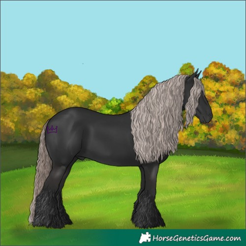 Horse Color:Liver Chestnut Mushroom 