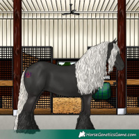 Horse Color:Liver Chestnut Mushroom 