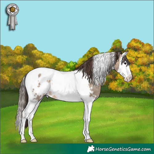 Horse Color:White Spotted Brown Dun Splash Tobiano Appaloosa Rabicano 