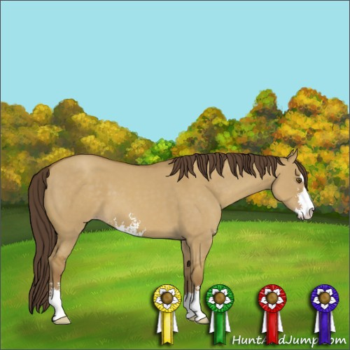 Horse Color:Classic Cream Champagne Dun Sabino 