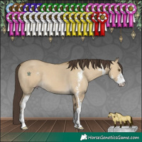 Horse Color:Classic Cream Champagne Dun Sabino 
