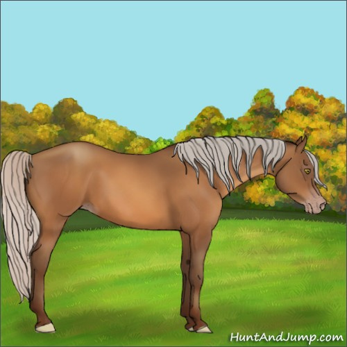 Horse Color:Silver Sable Champagne 