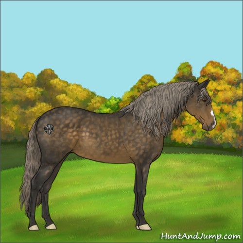 Horse Color:Chocolate Palomino 