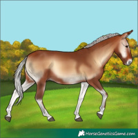 Horse Color:Silver Brown Onyx 