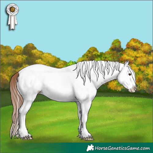Horse Color:White Spotted Red Dun Ice Splash Appaloosa 