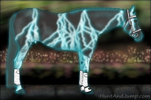 Horse Color:Thunderstruck Liver Chestnut 