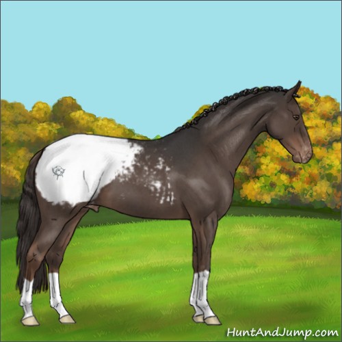 Horse Color:Liver Red Roan Snowcap 
