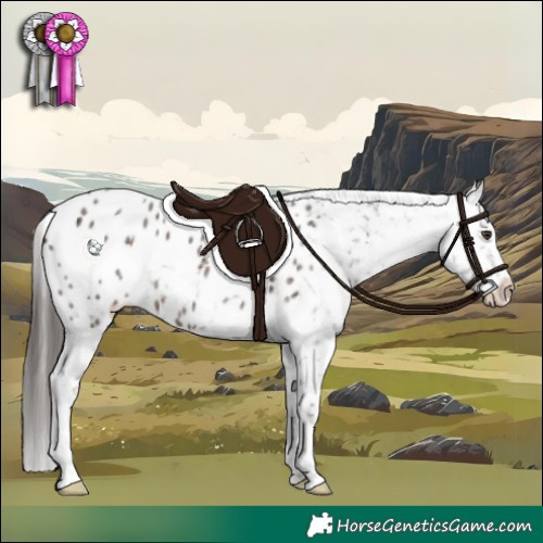 Horse Color:Liver Red Roan Appaloosa 