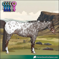 Horse Color:Liver Red Roan Blanket