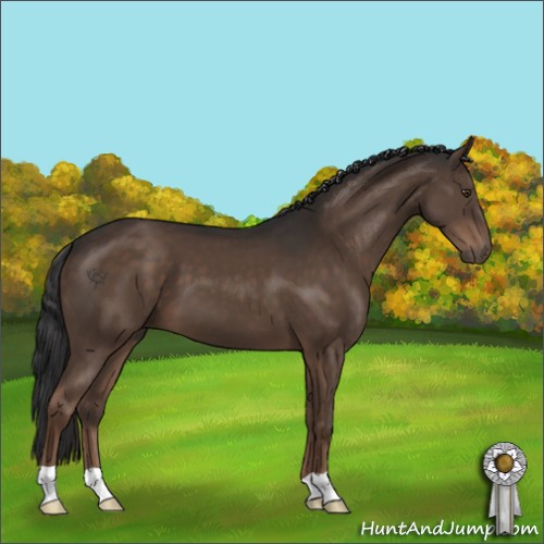 Horse Color:Liver Chestnut 