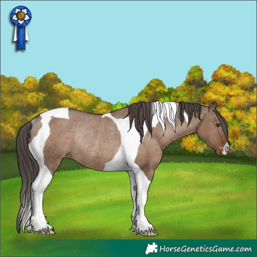Horse Color:Liver Red Dun Tobiano Appaloosa Rabicano 