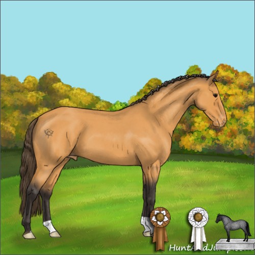 Horse Color:Buckskin Roan Appaloosa 