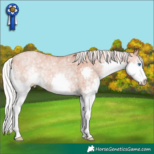 Horse Color:White Spotted Silver Amber Champagne Splash 