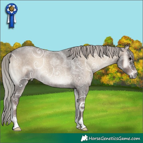 Horse Color:Silver Blue Onyx Ice Roan 