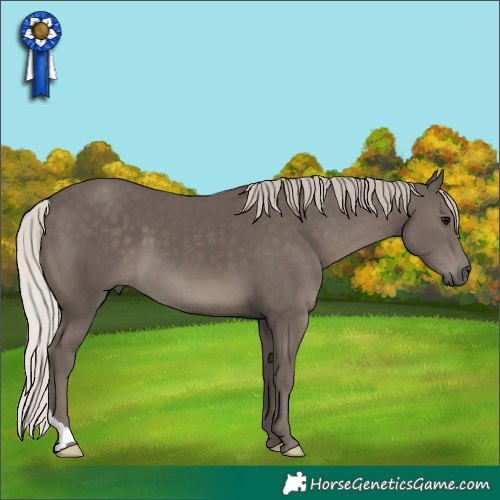 Horse Color:Silver Black 
