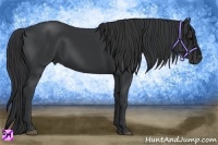 Horse Color:Black Frame