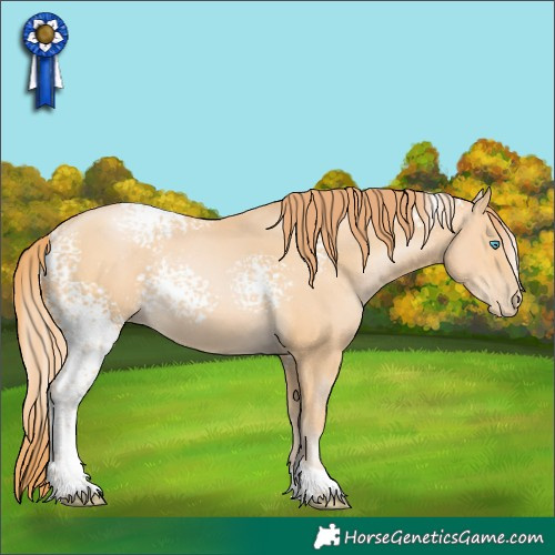 Horse Color:White Spotted Buckskin Pearl Tobiano 