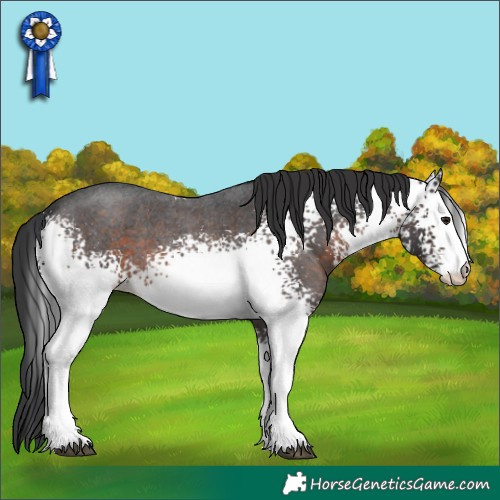 Horse Color:White Spotted Brown Roan 