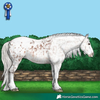 Horse Color:White Spotted Silver Brown Tobiano Appaloosa 