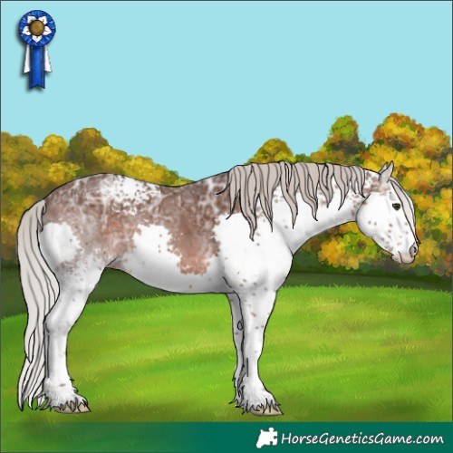 Horse Color:White Spotted Silver Brown Ice Splash 