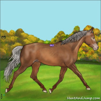 Horse Color:Gray Silver Sable Champagne 