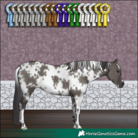 Horse Color:White Spotted Smoky Grullo 