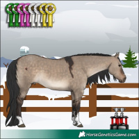 Horse Color:Brown Dun
