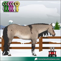 Horse Color:Brown Dun